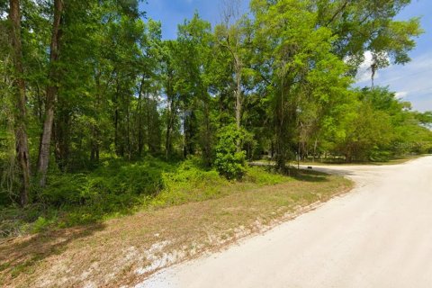 Land in Fort White, Florida № 1817391 - photo 3