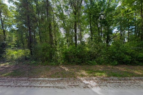 Land in Fort White, Florida № 1817391 - photo 1