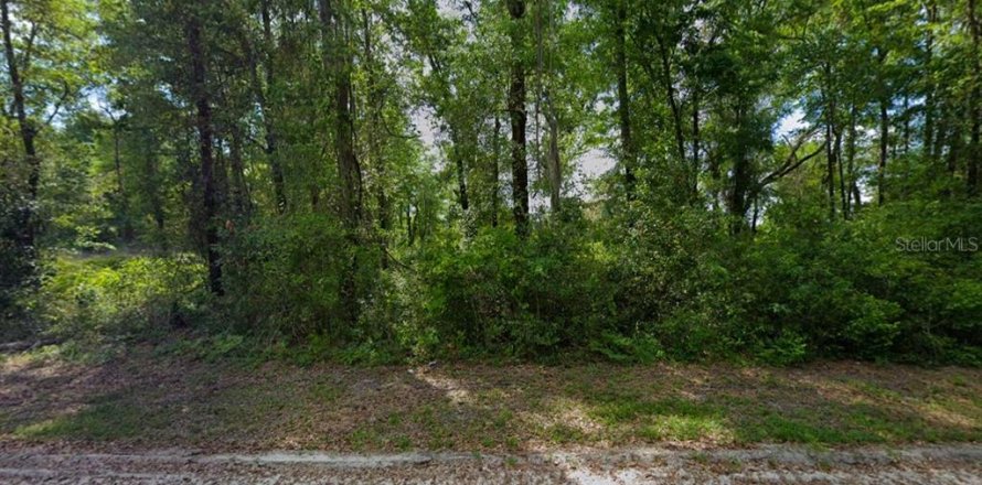Land in Fort White, Florida № 1817391
