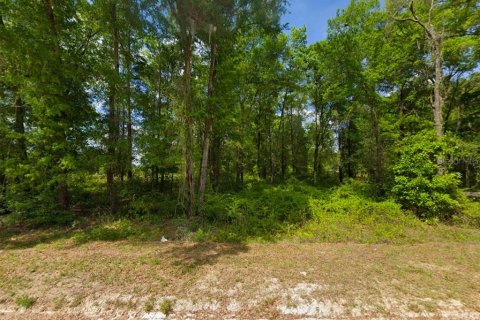 Land in Fort White, Florida № 1817391 - photo 5