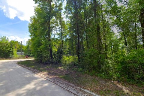 Land in Fort White, Florida № 1817391 - photo 6