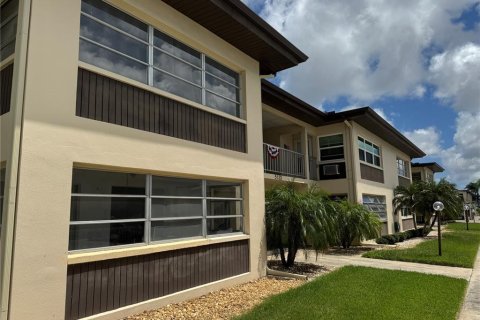 Condo à New Port Richey, Floride, 1 chambre № 2367482
