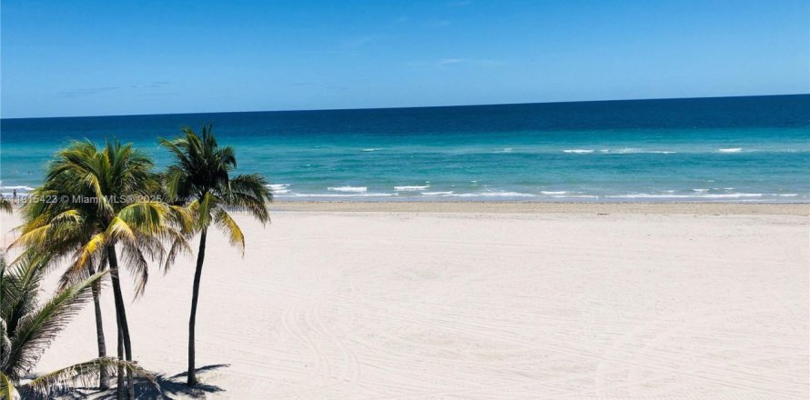 Condo à Hollywood, Floride, 1 chambre № 1971590