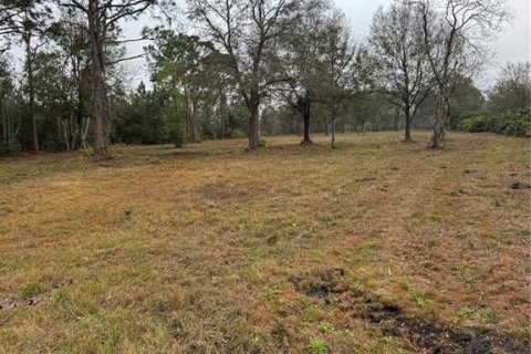 Terreno en venta en Frostproof, Florida № 1833221 - foto 4