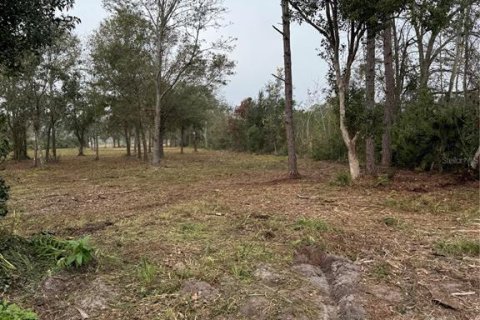 Terreno en venta en Frostproof, Florida № 1833221 - foto 3