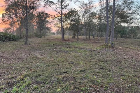 Terreno en venta en Frostproof, Florida № 1833221 - foto 1