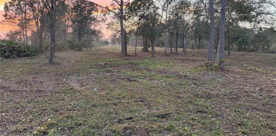 Land in Frostproof, Florida № 1833221