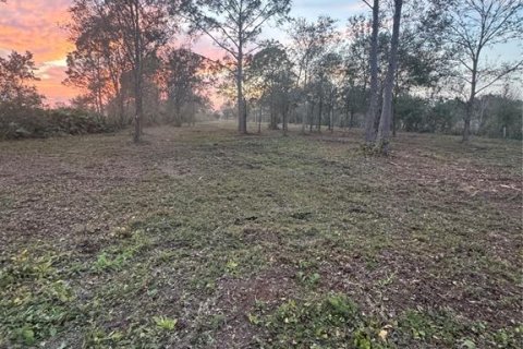 Terreno en venta en Frostproof, Florida № 1833221 - foto 5