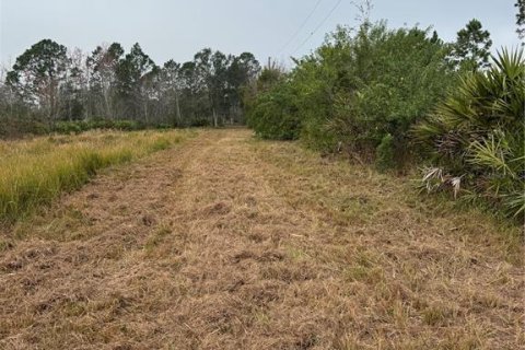 Terreno en venta en Frostproof, Florida № 1833221 - foto 2