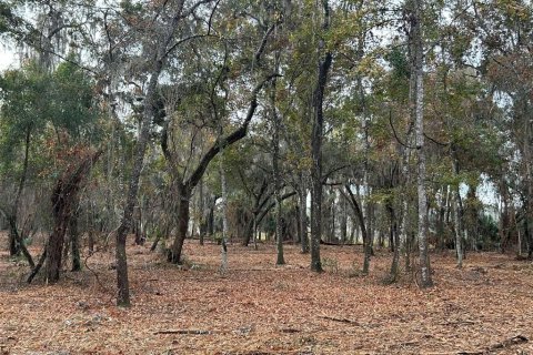 Terreno en venta en Hawthorne, Florida № 2127127 - foto 5