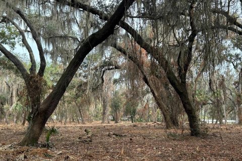 Terreno en venta en Hawthorne, Florida № 2127127 - foto 4