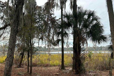 Terreno en venta en Hawthorne, Florida № 2127127 - foto 3