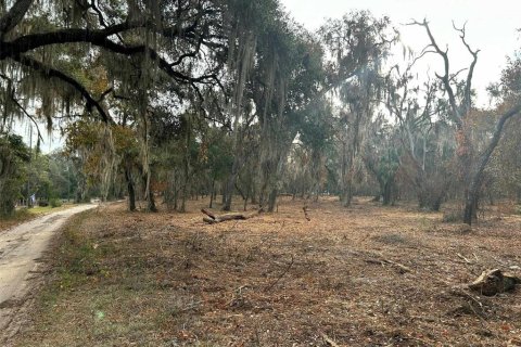 Terreno en venta en Hawthorne, Florida № 2127127 - foto 6