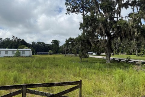 Купить земельный участок в Хай-Спрингс, Флорида № 1900750 - фото 7