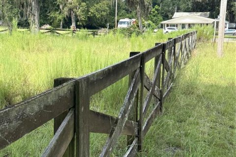 Купить земельный участок в Хай-Спрингс, Флорида № 1900750 - фото 3