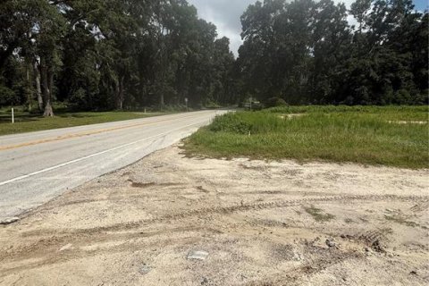 Купить земельный участок в Хай-Спрингс, Флорида № 1900750 - фото 5