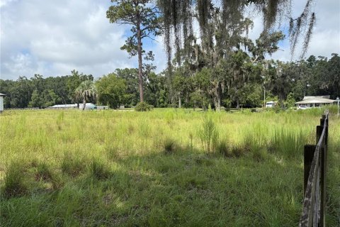 Купить земельный участок в Хай-Спрингс, Флорида № 1900750 - фото 2