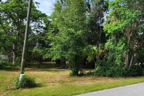 Terrain à vendre à Hudson, Floride № 2239998 - photo 8