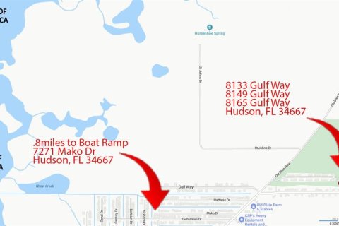 Terrain à vendre à Hudson, Floride № 2239998 - photo 6