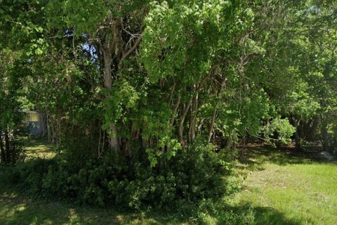 Terrain à vendre à Hudson, Floride № 2239998 - photo 7
