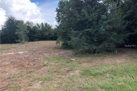 Terreno en venta en Clermont, Florida № 1916130 - foto 10