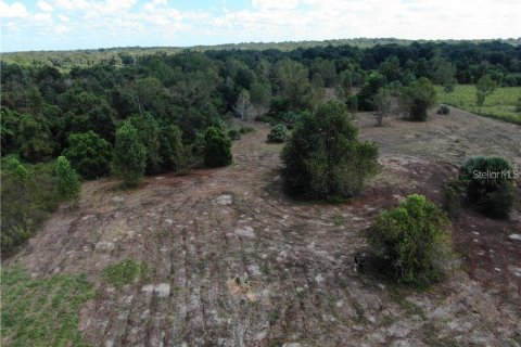 Terreno en venta en Clermont, Florida № 1916130 - foto 22