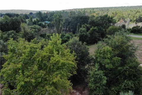 Terreno en venta en Clermont, Florida № 1916130 - foto 18