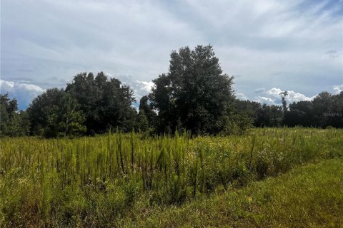 Terreno en venta en Clermont, Florida № 1916130 - foto 1