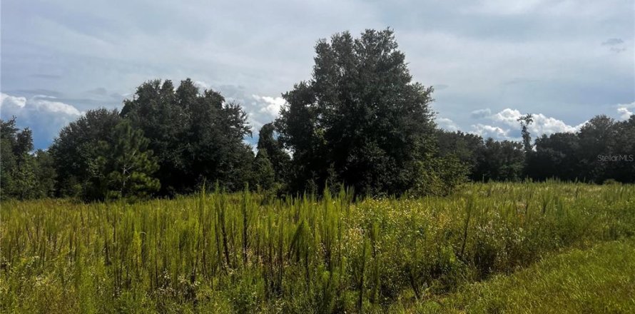 Terreno en Clermont, Florida № 1916130