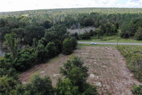 Terreno en venta en Clermont, Florida № 1916130 - foto 21