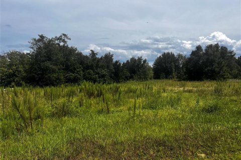 Terreno en venta en Clermont, Florida № 1916130 - foto 6