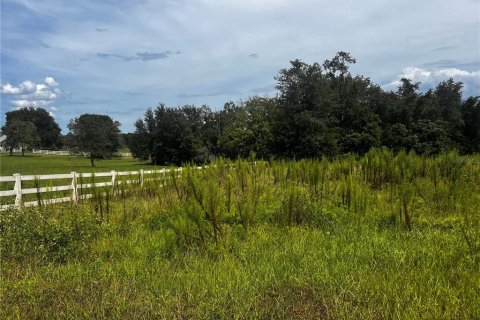 Terreno en venta en Clermont, Florida № 1916130 - foto 3