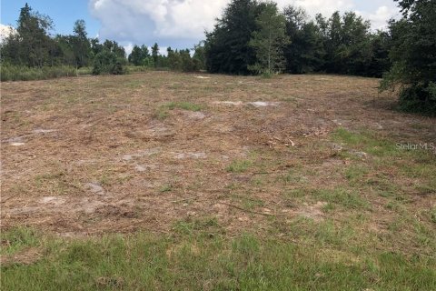 Terreno en venta en Clermont, Florida № 1916130 - foto 11