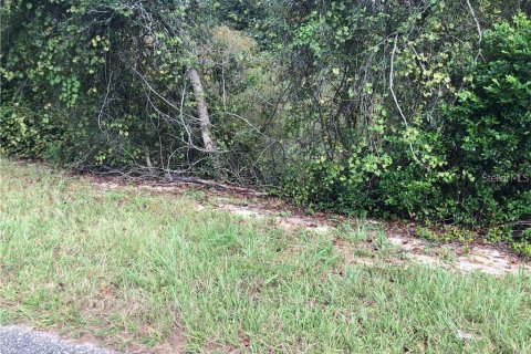 Terreno en venta en Clermont, Florida № 1916130 - foto 7