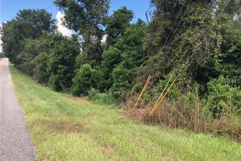 Terreno en venta en Clermont, Florida № 1916130 - foto 5