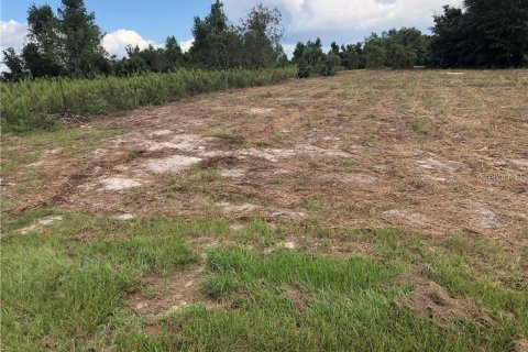 Terreno en venta en Clermont, Florida № 1916130 - foto 13