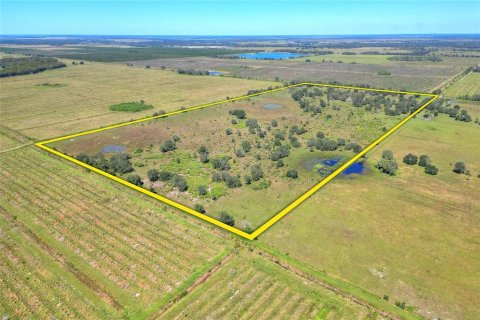 Terrain à vendre à Punta Gorda, Floride № 2130848 - photo 4