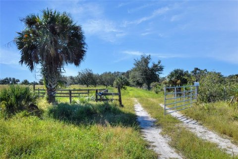 Terrain à vendre à Punta Gorda, Floride № 2130848 - photo 5