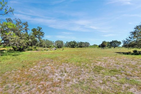 Terrain à vendre à Punta Gorda, Floride № 2130848 - photo 13