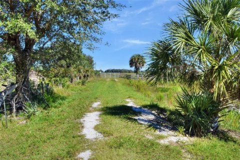 Terrain à vendre à Punta Gorda, Floride № 2130848 - photo 6