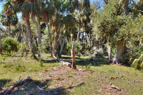 Terrain à vendre à Punta Gorda, Floride № 2130848 - photo 10