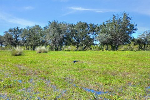 Terrain à vendre à Punta Gorda, Floride № 2130848 - photo 14