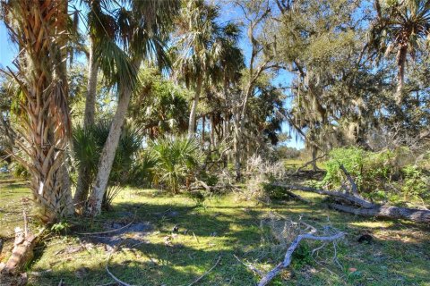 Terrain à vendre à Punta Gorda, Floride № 2130848 - photo 11