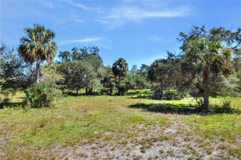 Terrain à vendre à Punta Gorda, Floride № 2130848 - photo 12