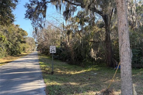 Land in De Leon Springs, Florida № 2160516 - photo 4