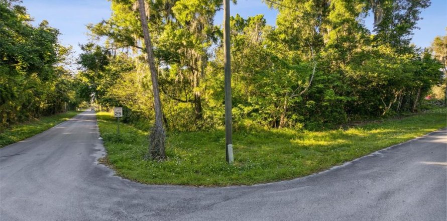 Land in De Leon Springs, Florida № 2160516