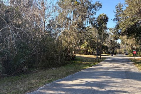 Land in De Leon Springs, Florida № 2160516 - photo 5