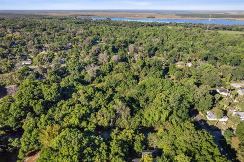 Land in De Leon Springs, Florida № 2160516 - photo 2