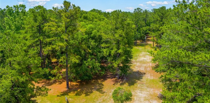 Land in Lake City, Florida № 1845330
