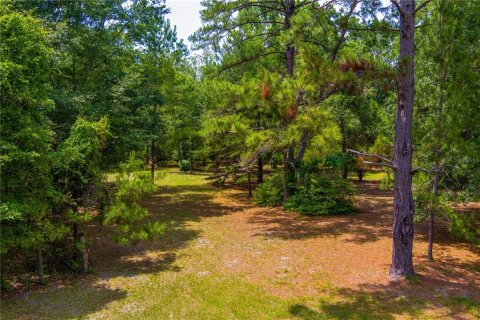 Land in Lake City, Florida № 1845330 - photo 2